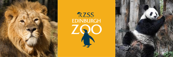 Zoo banner