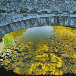 Lost medieval bridge that transported kings and queens re-emerges